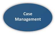 Graphic Button for Case Management