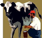 Graphic of Cow being Milked