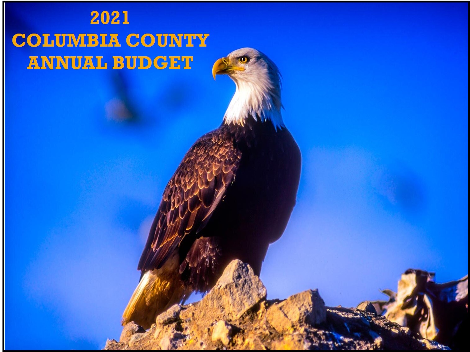 2021 Proposed Budget