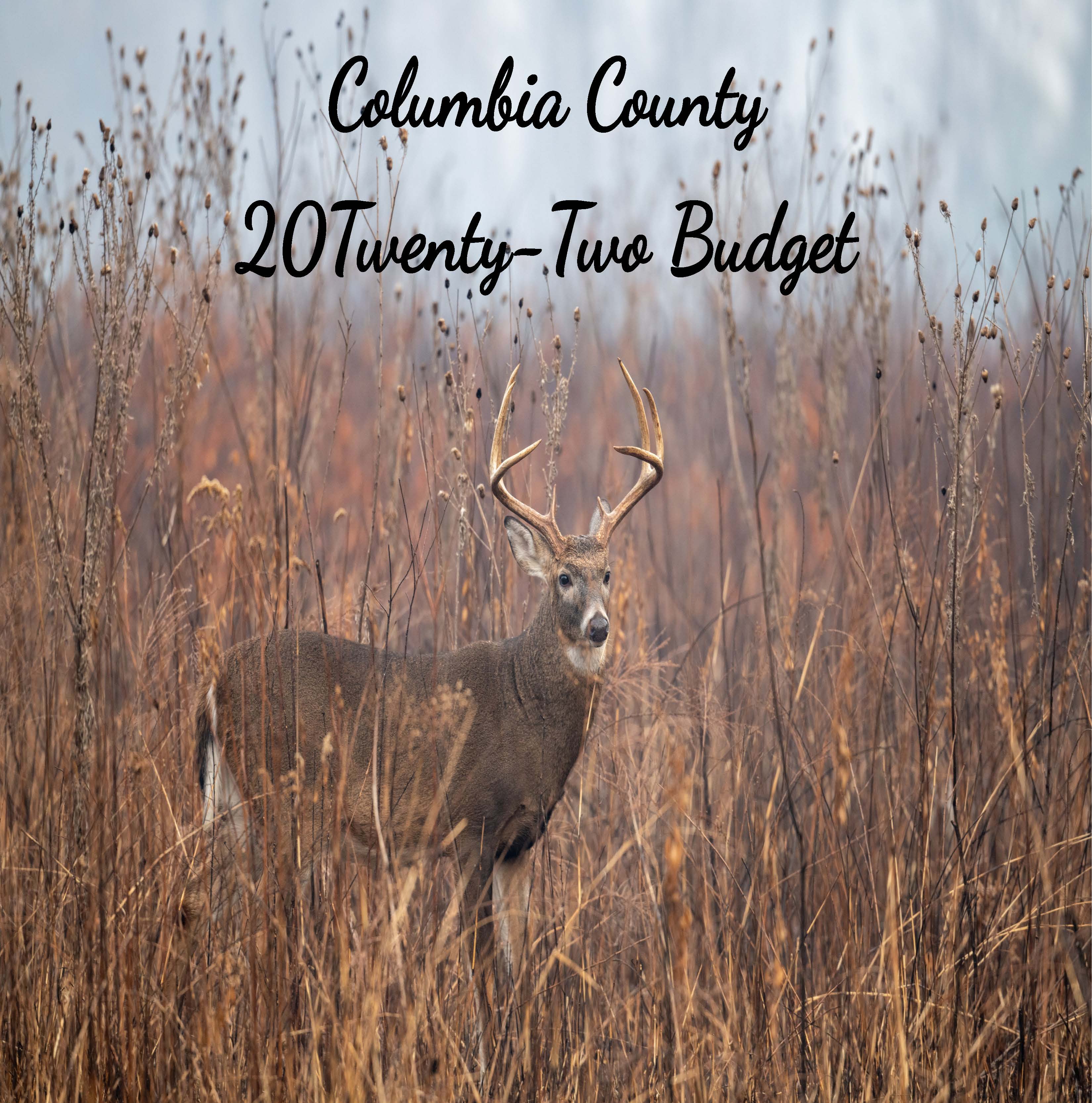 2022 Proposed Budget