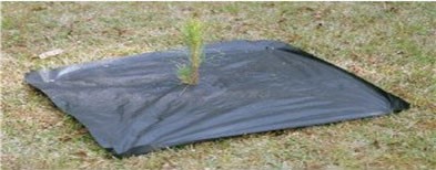 Tree Mats (Fabric)
