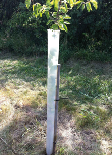 Miracle Tree Tube