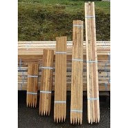 Treated Pine Stakes