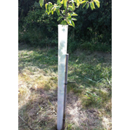 Miracle Tree Tube