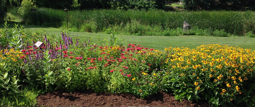 Graphic of the butterfly garden at the Columbia County Health Care Center