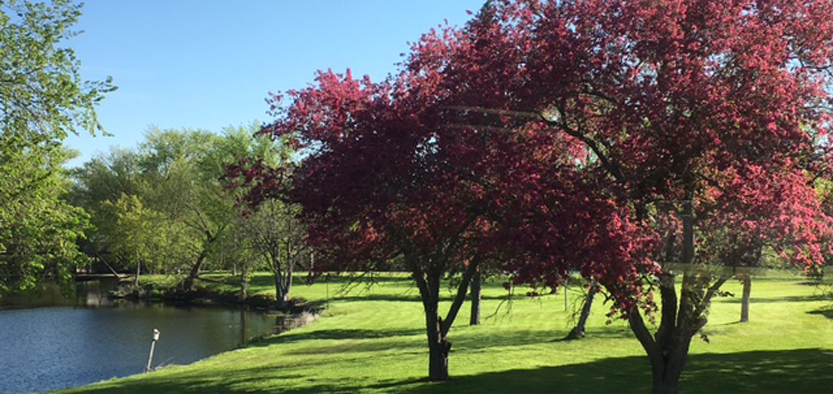 Graphic of Spring Time at the Columbia County Health Care Center