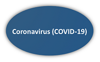 COVID 19  Graphic