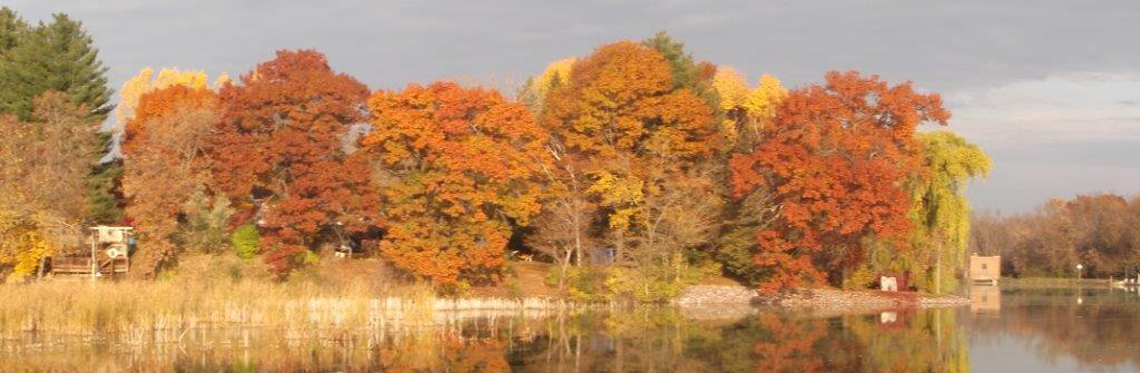 Columbia County Health Care Center Fall Colors,  graphics by Diana Lang