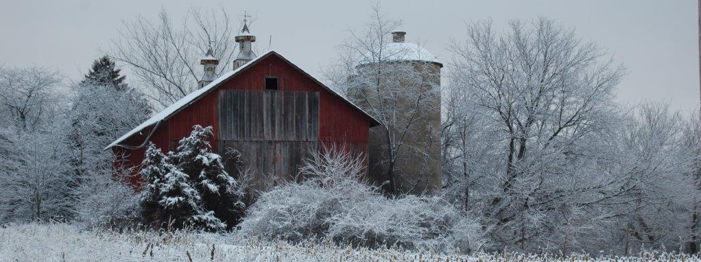 First Snow in the Country