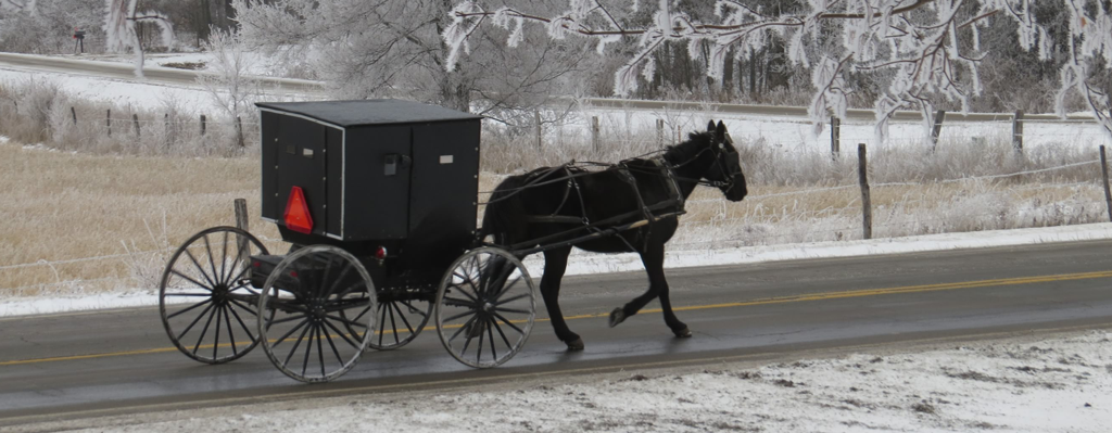 Amish Buggy in Winter, Graphic by Cara Cross