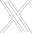 X Icon