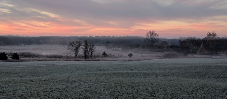 Graphic of Scenic View of Field